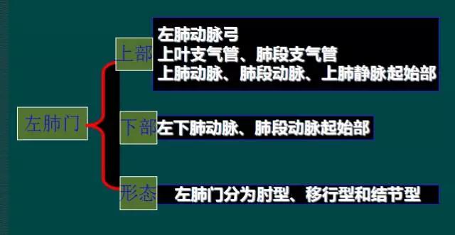 拿到胸部ct我们该怎么看,怎样看懂胸片报告单