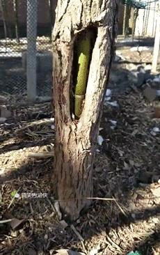 搞笑动图gif图片合集,搞笑动图gif微信可爱表情包