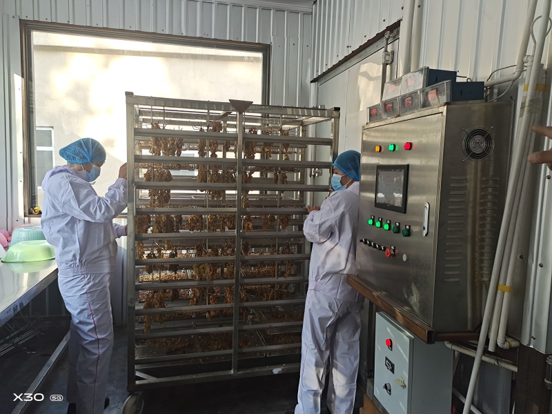 葡萄产业新业态,葡萄采摘园发展思路