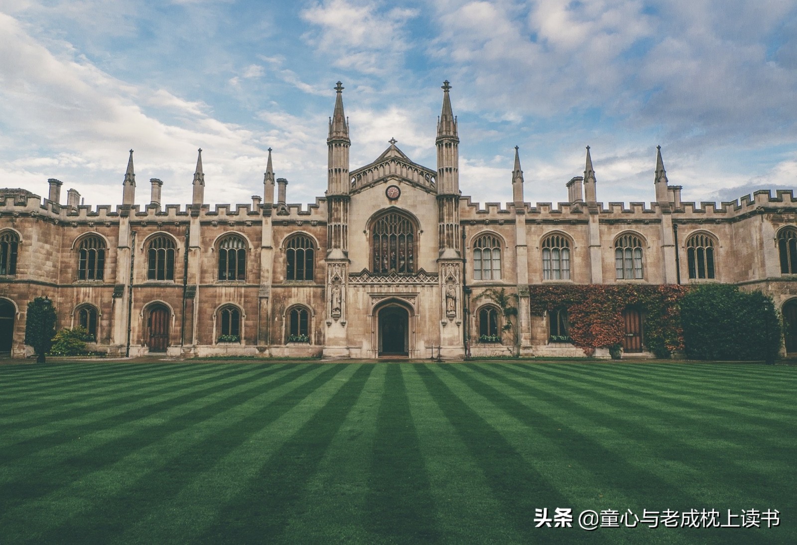 从《什么是博雅教育》，看中外大学的发展、演进之道