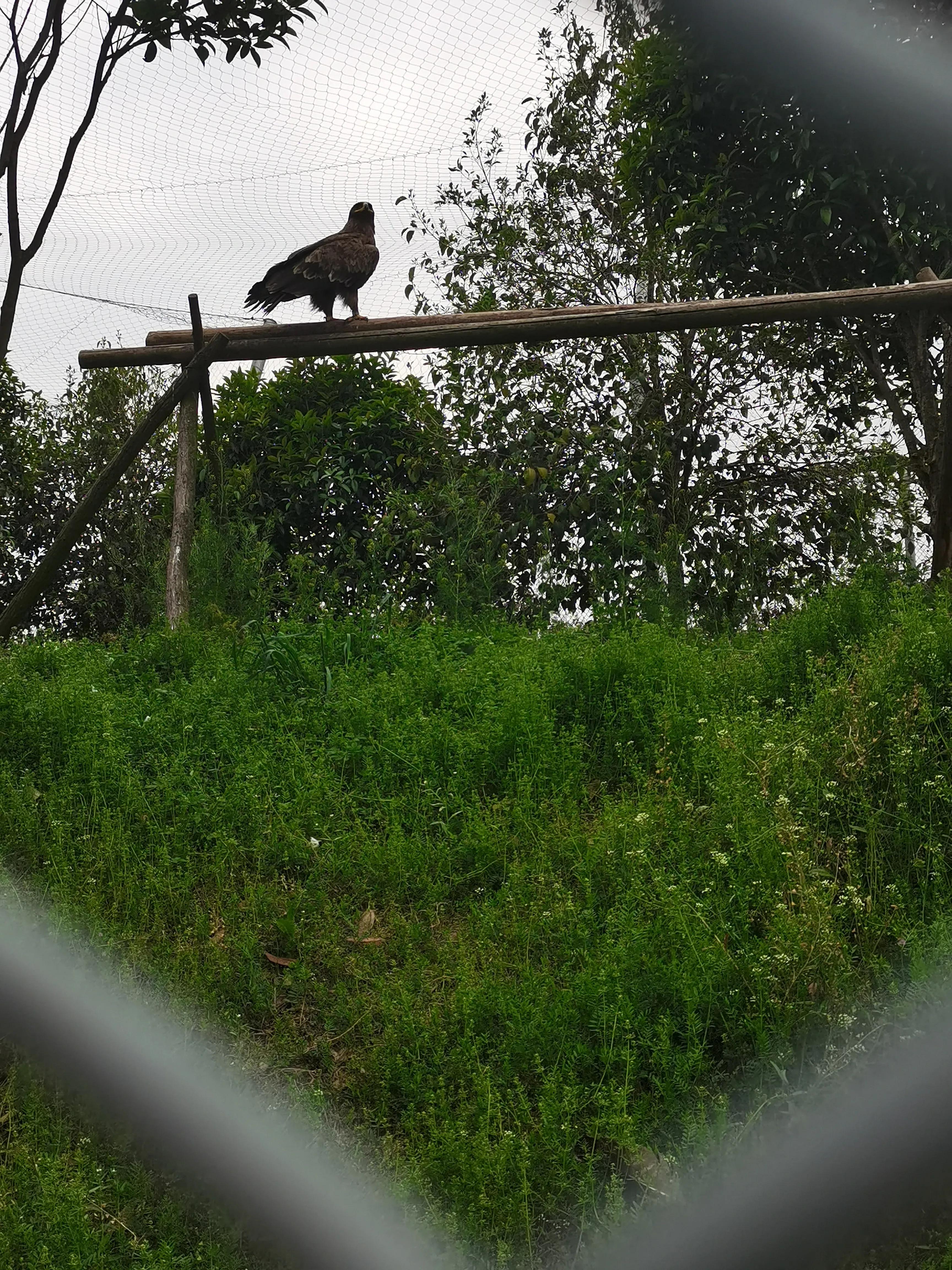 济南野生动物园和宿州野生动物园,宿州野生动物园到宿州皇藏峪