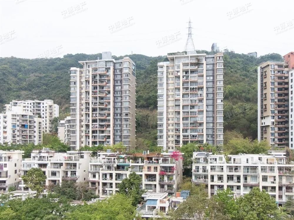 深圳刚需学位房推荐,深圳刚需学区房