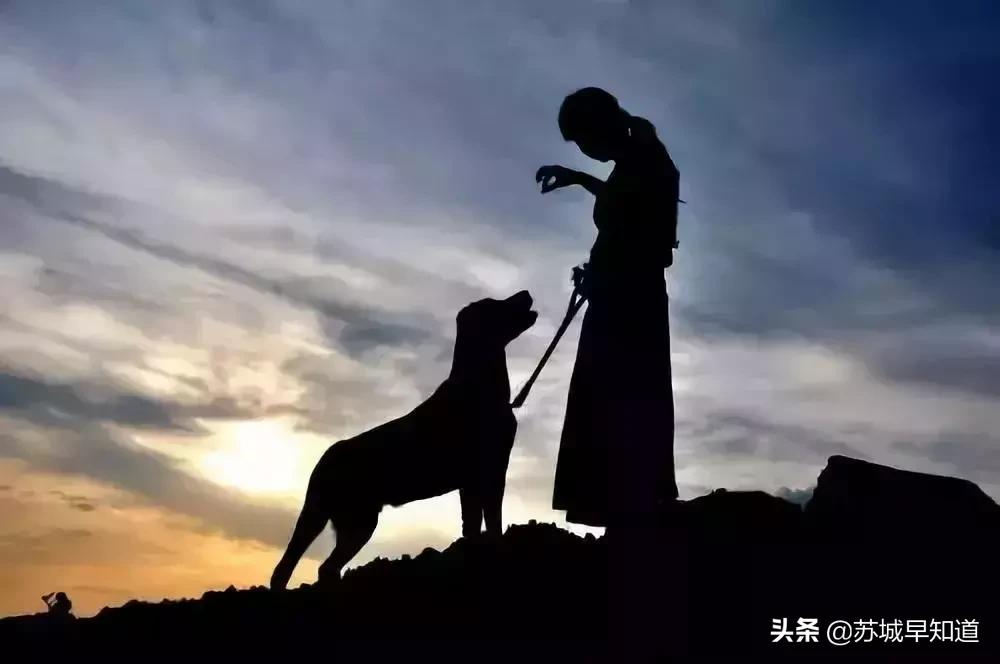 苏州市平江区万达广场,苏州平江万达广场