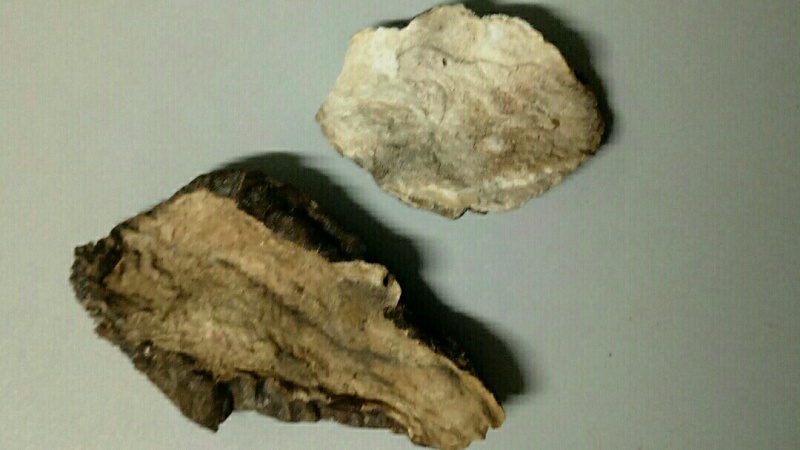 附子理中丸治疗心衰有奇效,治疗心衰用附子