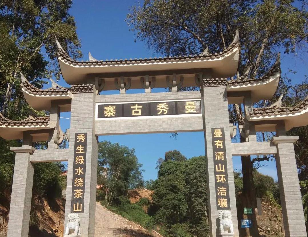 生茶张古树普洱,易武麻黑和落水洞哪个好