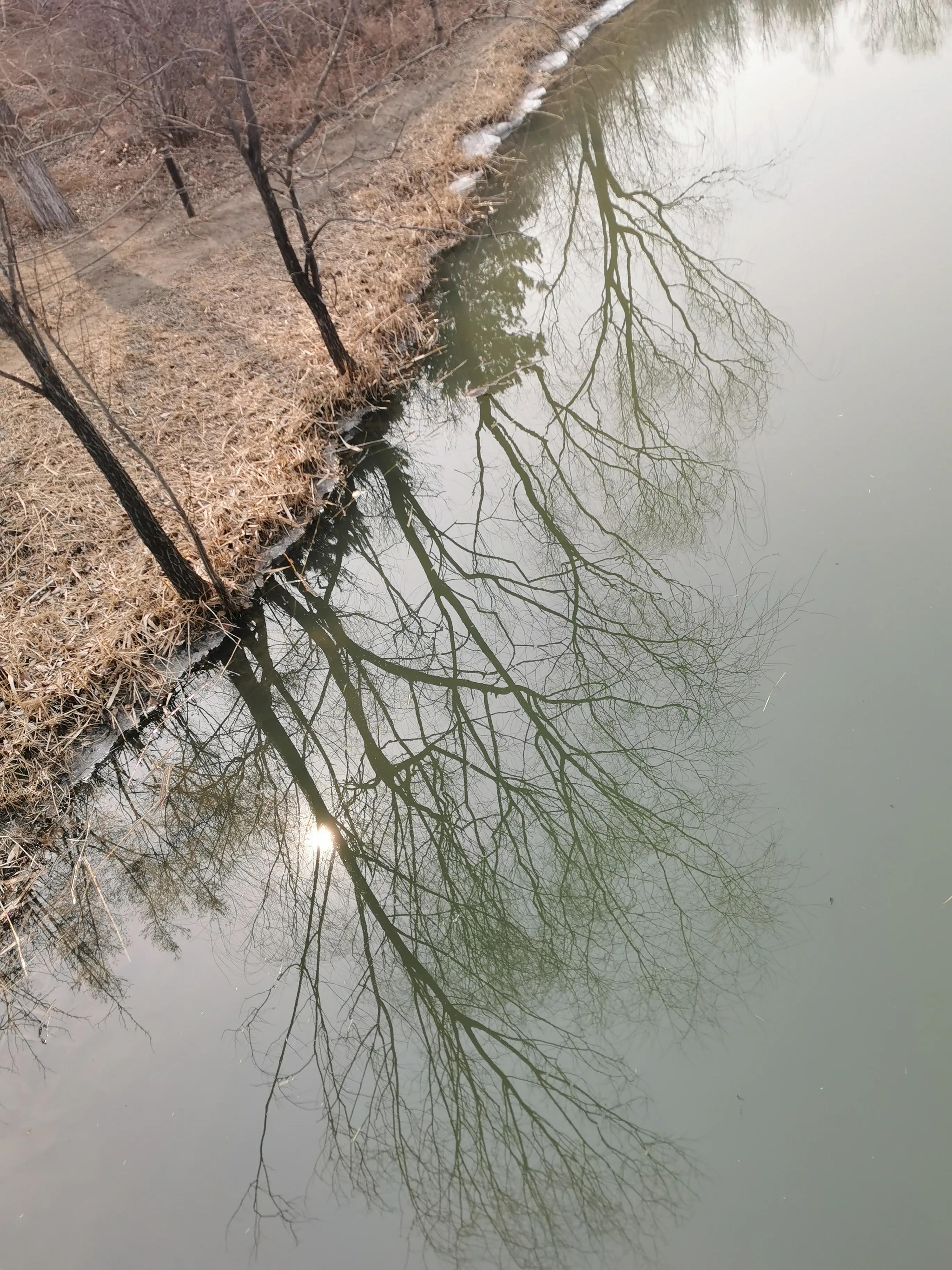 人生真趣，不过苍蝇小馆，把酒言欢