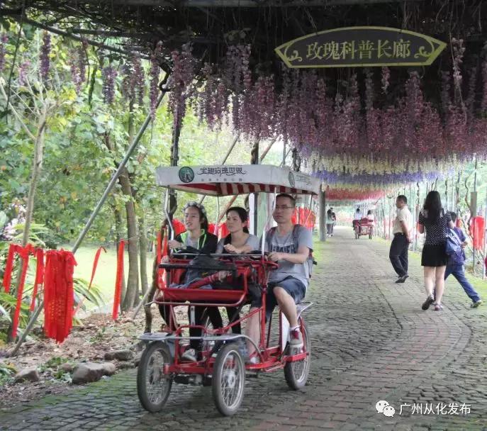 新鲜出炉！从化这两个地方入选“广东最美田园”！