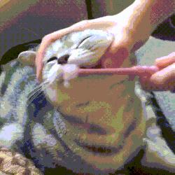 宝宝出牙期怎样缓解不适的情绪呢,出牙期的宝宝这么痛苦三招缓解