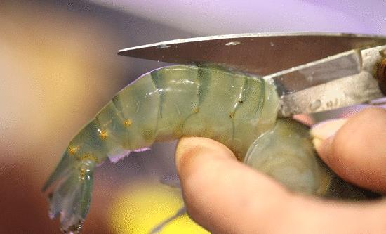 全网吃虾第一名,吃虾全网第一