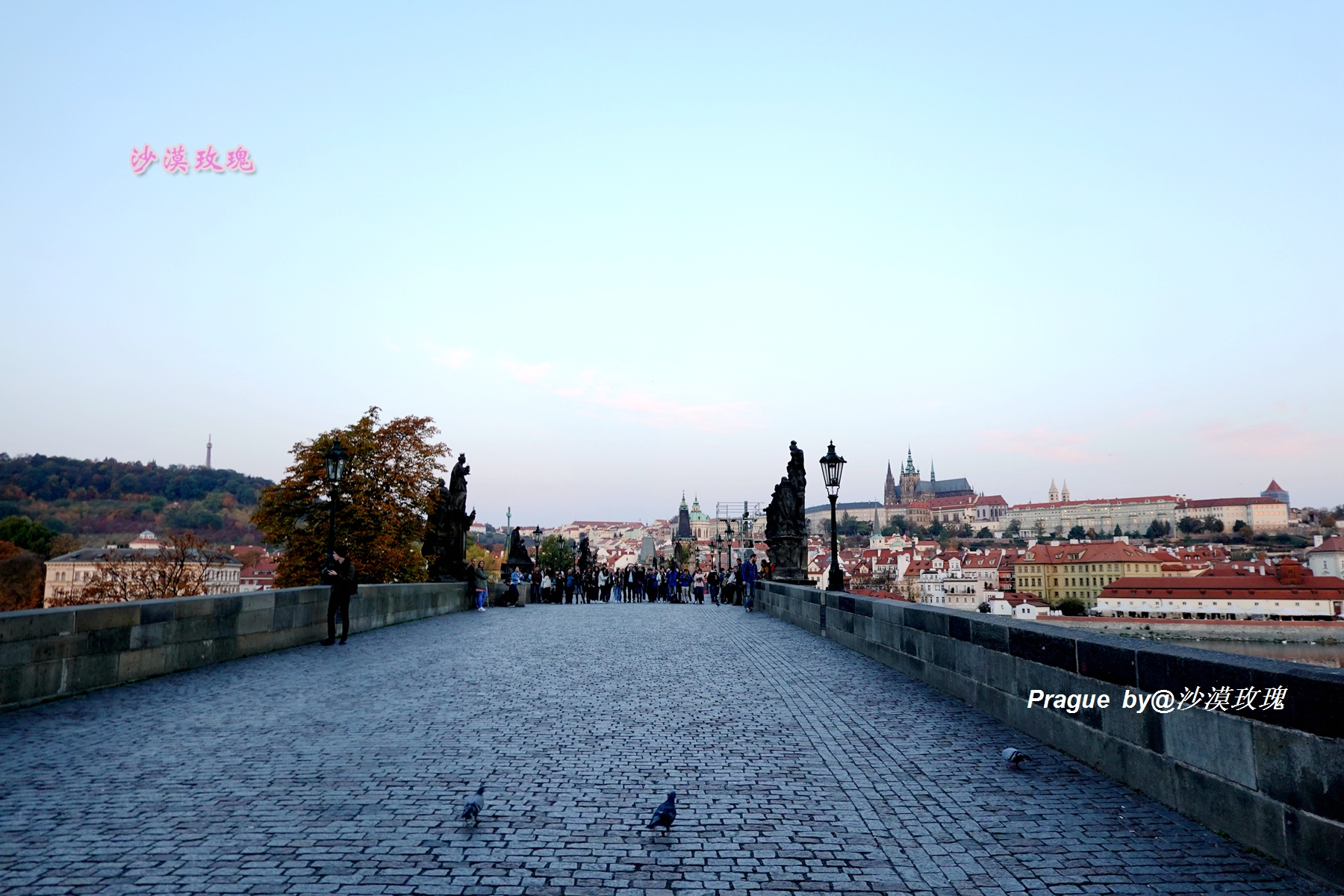 走九遍伴奏,走九遍歌词