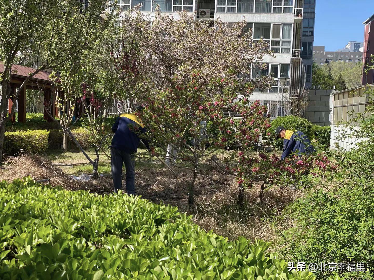 魏公村地铁站南次新楼盘 (魏公村北区房子值得买吗)