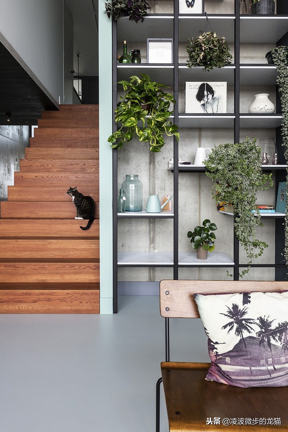 展示柜多样,多样化展示柜