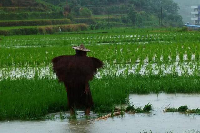 火山历史故事,火山传说真实故事