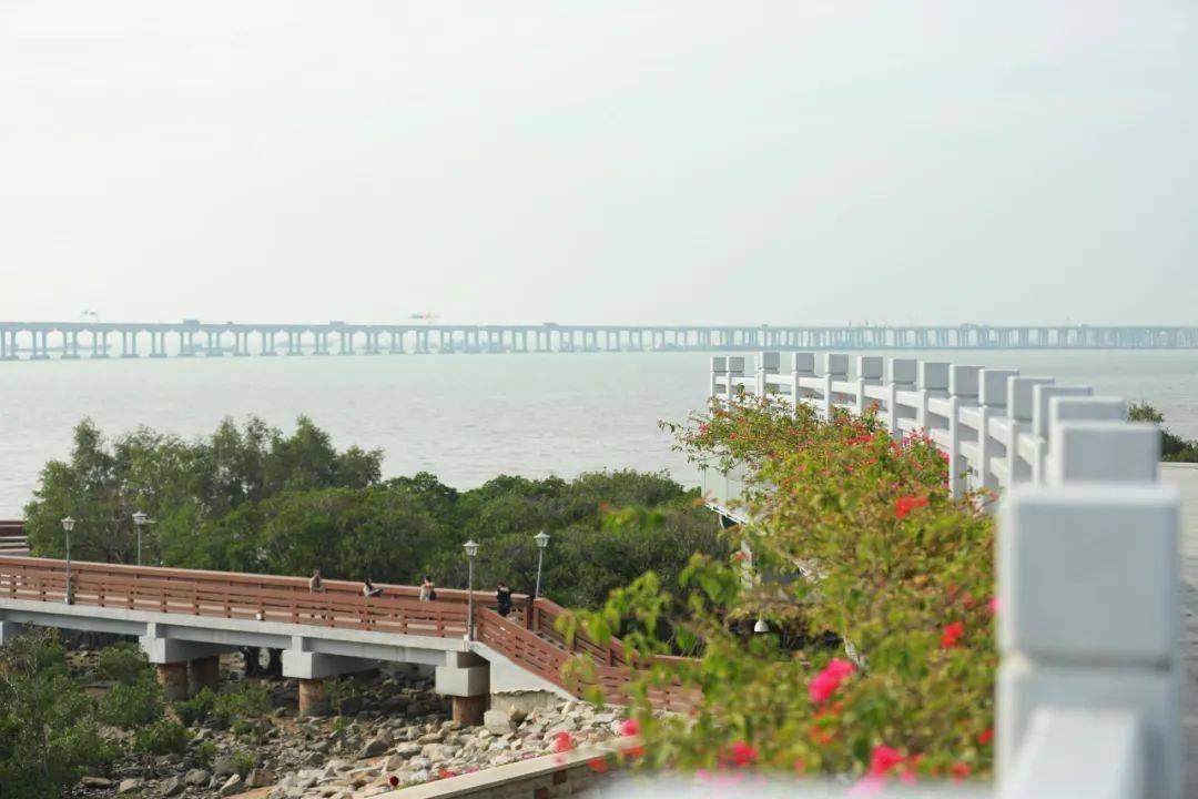 万事俱备！东莞离拥有一座新中心只差一座桥