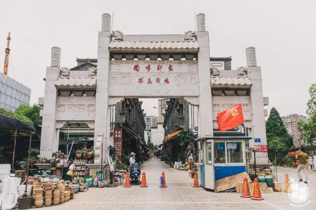 逛逛园博花鸟市场,园博花鸟市场攻略