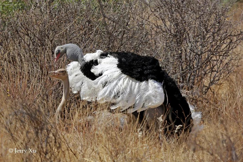 情人节，就该和爱的人*爱做**做的事
