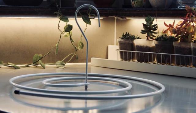 一时冲动买过最没用的东西,一时冲动买过的东西