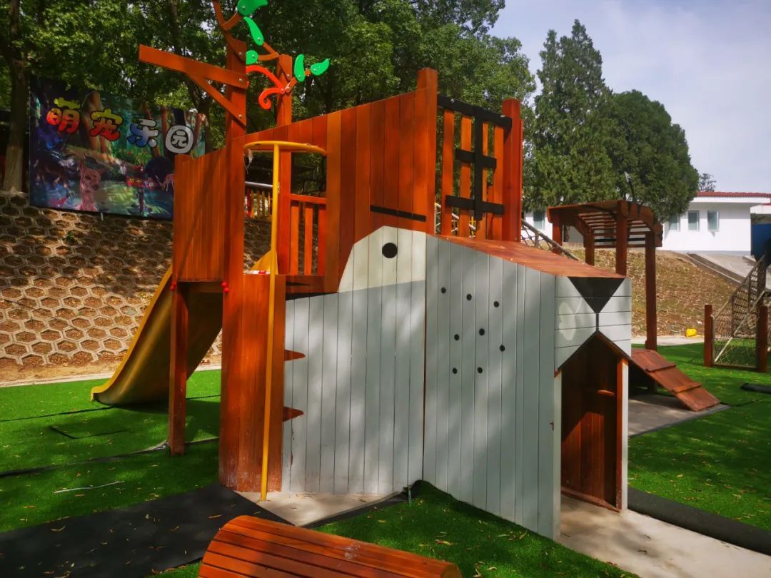 北京青龙湖湿地公园最新消息,北京青龙湖湿地公园现在开放吗