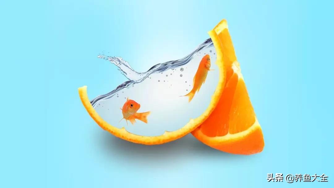 新手要注意的几个问题,新手都要知道的11个小问题