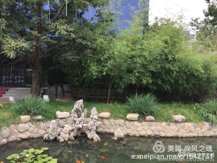 遵化汤泉温泉度假村山顶星空汤屋,遵化福泉宫温泉度假村农家院出售