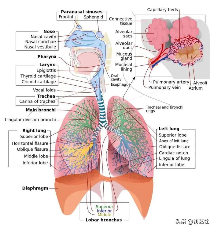 容易让人变丑的10个姿势,你最喜欢的站姿