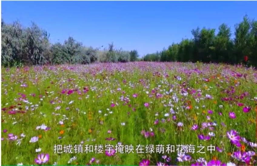 【跋涉边境亲吻祖国】58、奇台:红花似火的边境县…