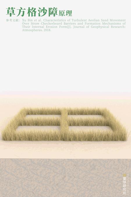 中国植树造林面积,中国植树造林成果国外有什么看法