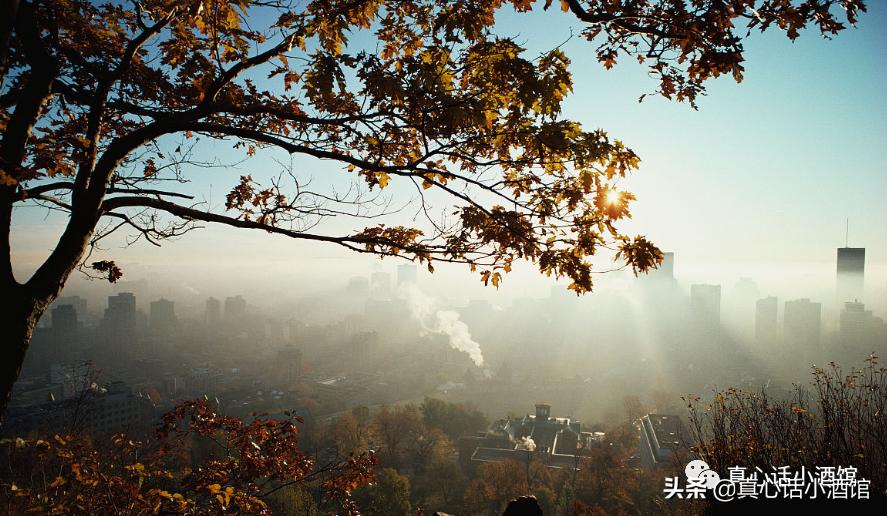 如何一个星期追上女生,跑步如何快速追上别人