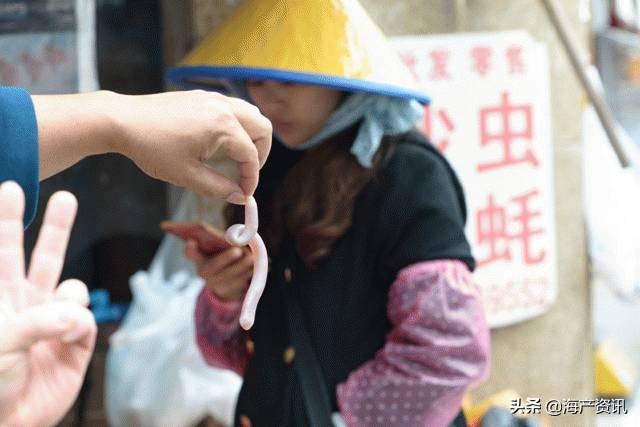 世界公认十大海鲜,全球顶级海鲜食材大赏