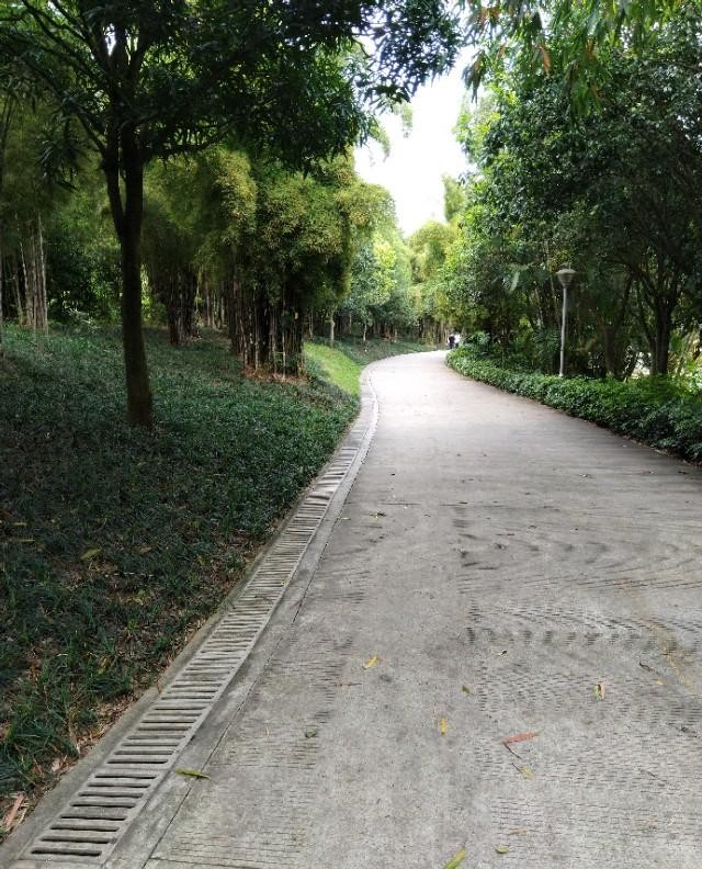 南宁狮山公园以前是尸山吗,广西南宁狮山公园现状