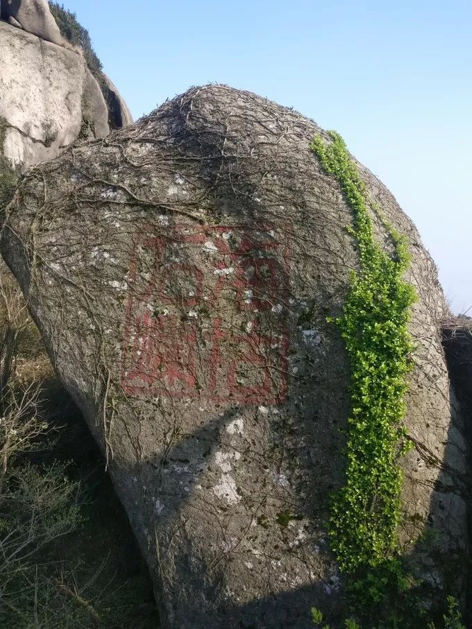 上海自驾舟山桃花岛游路线推荐,从上海去桃花岛如何安排行程
