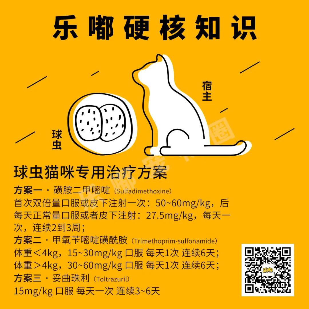 常规驱虫药都不能赶走哪些寄生虫,驱虫注意事项有哪些