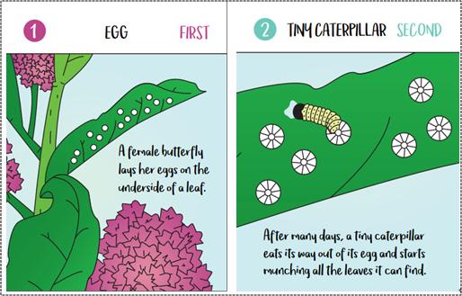 美国数学学习中心，一个能免费在家从小学到大的数学网站
