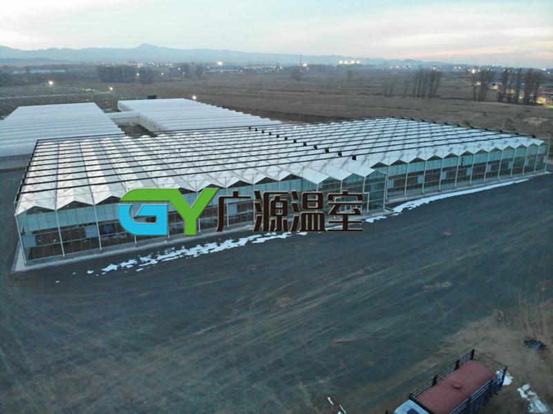 蔬菜玻璃温室大棚的造价,玻璃温室大棚建设厂家橘子测试