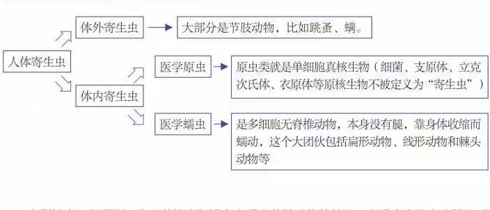 制造丧尸：病毒、*品毒**和寄生虫