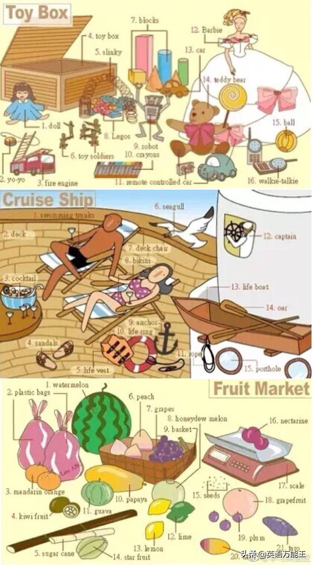 英语九宫格使用技巧,九宫格英语词汇表