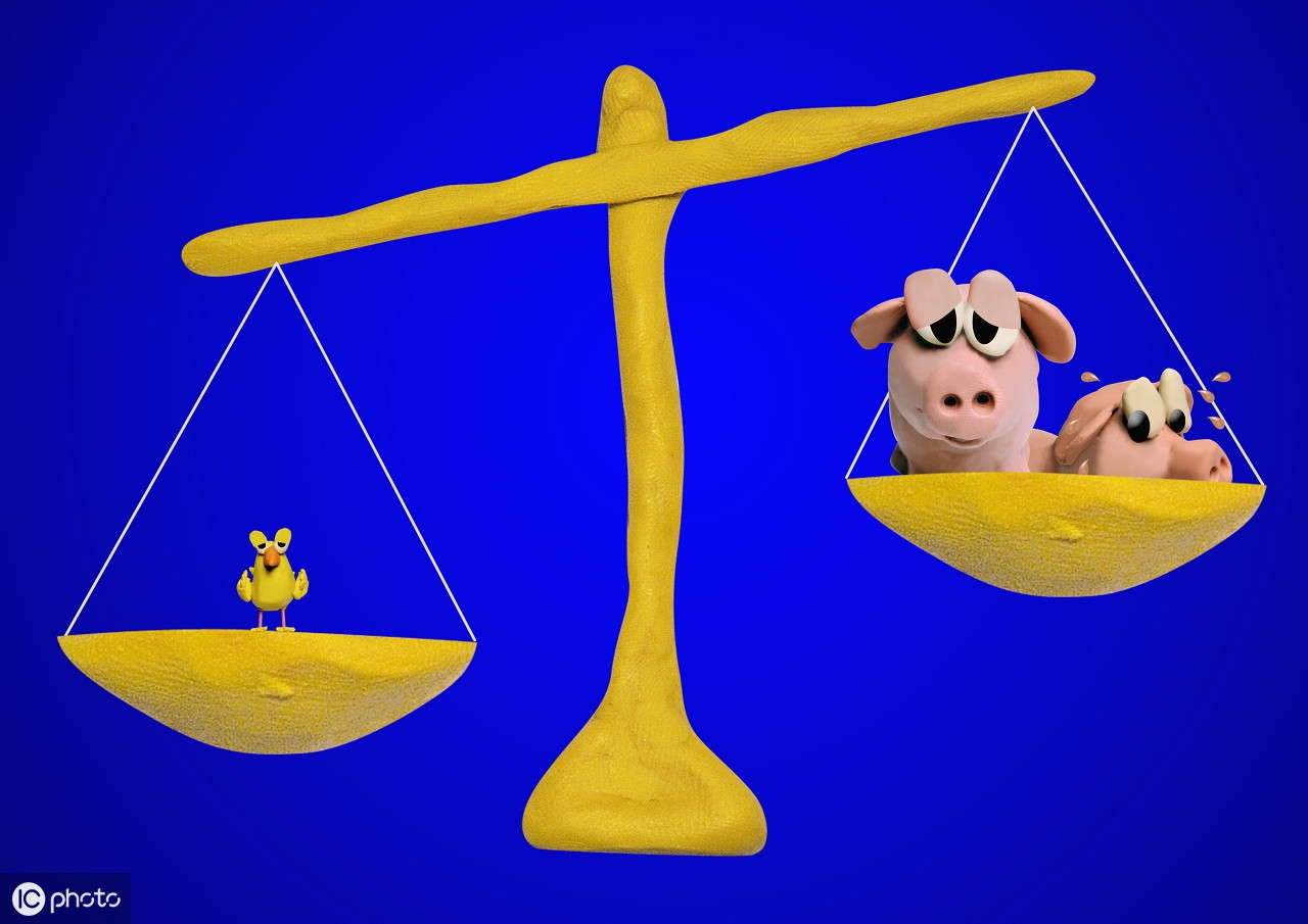 12星座网上购物,12星座的购物标准