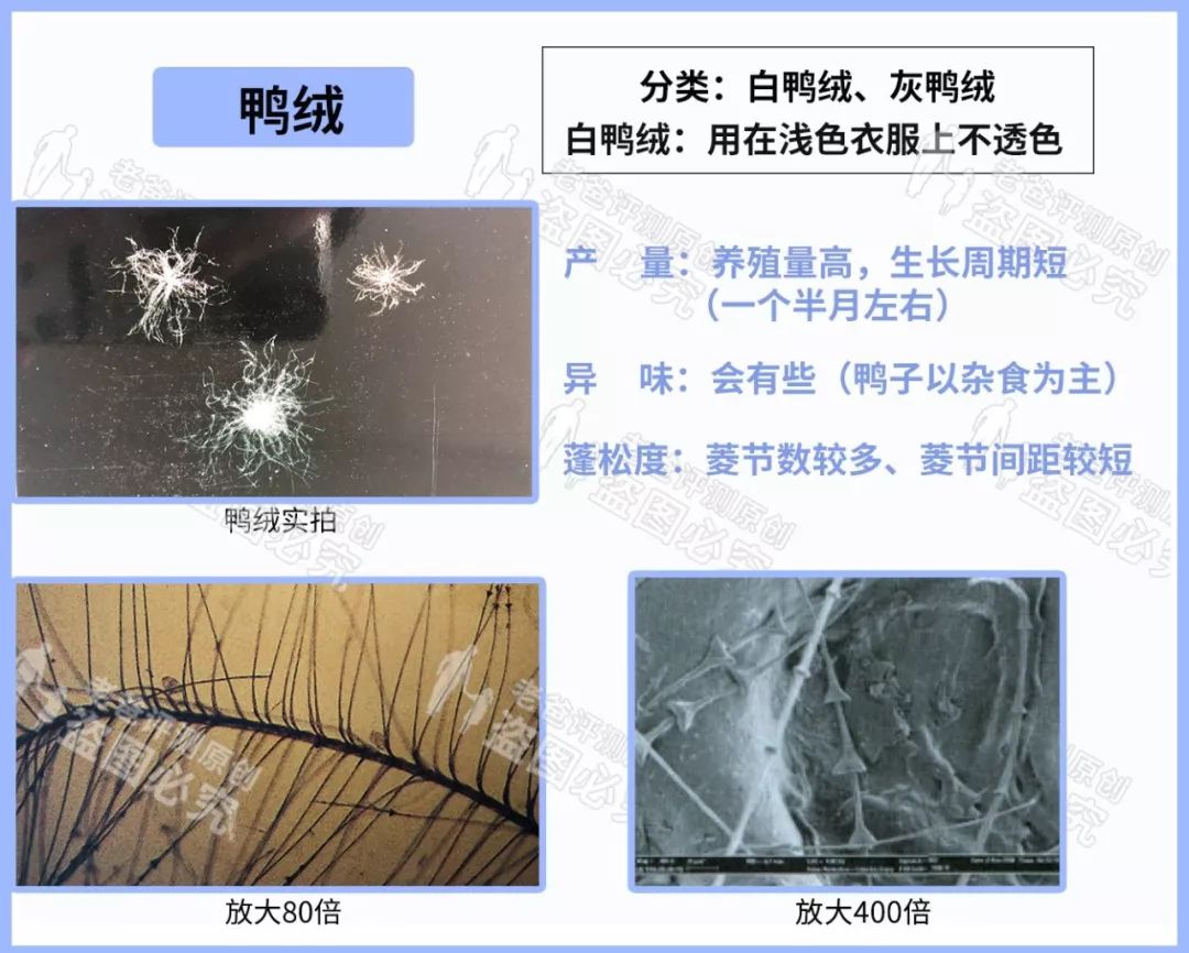 羽绒服价格差别太大怎么选,冬季羽绒服价位稍高一点