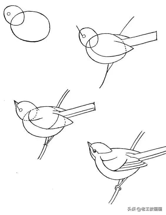 画开心的喜羊羊简笔画3秒学会,幼儿园简笔画小燕子3秒学会