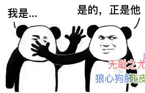 最新版qq增加了什么功能,qq更新和微信一样