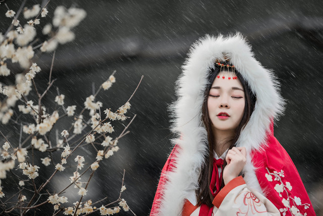 梅花十大经典诗句,梅花诗10首是谁写的