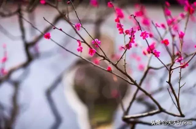 绝！绝！绝！这条微信谁编的？太有才了