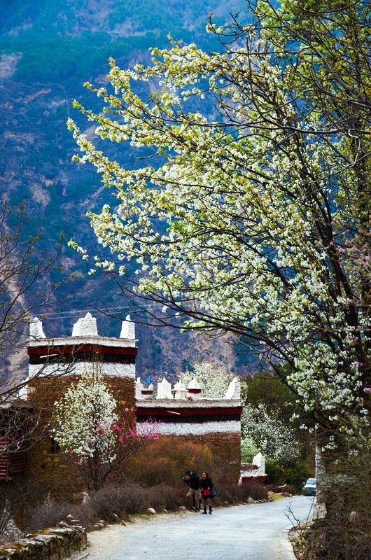 川西到底有什么魔力吸引着,川西为啥旅游资源多