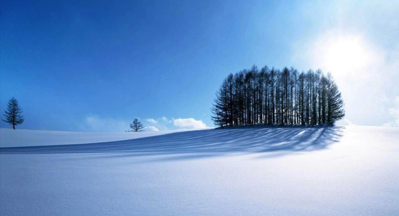 冬季的庭院景观,美丽如画的自然景观让人心旷神怡