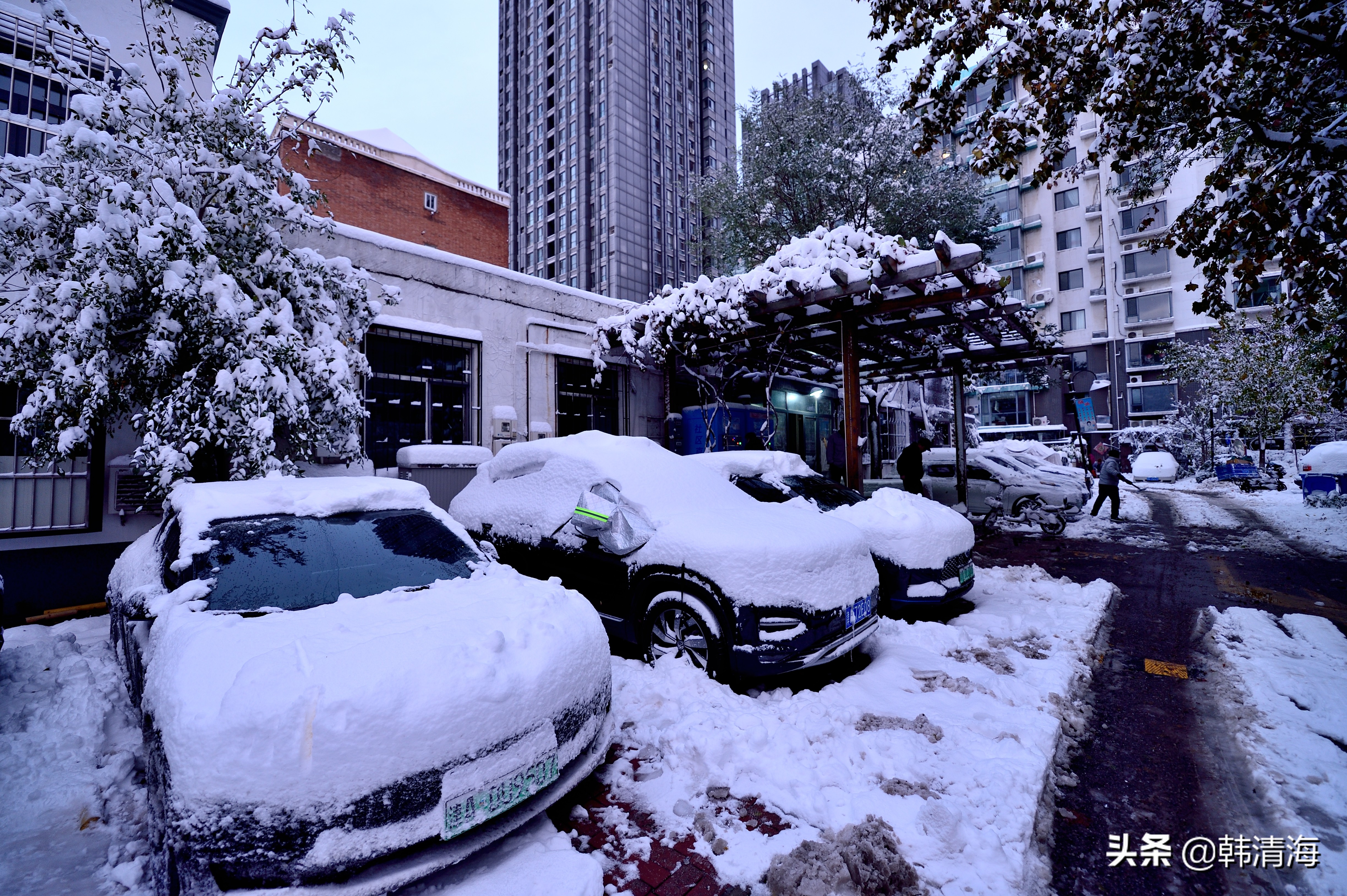 2021天津第一雪水畔花园小区装扮得更加圣洁和美丽