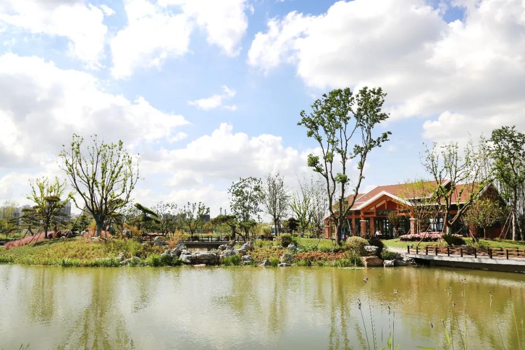 盐龙公园健身项目有哪些,盐龙体育公园室内