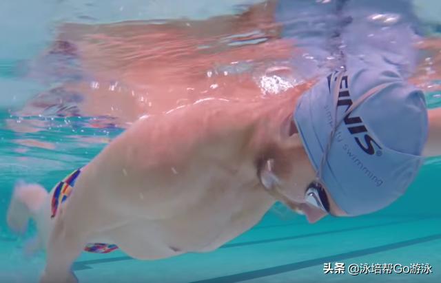 游泳基础自学,游泳自学入门篇