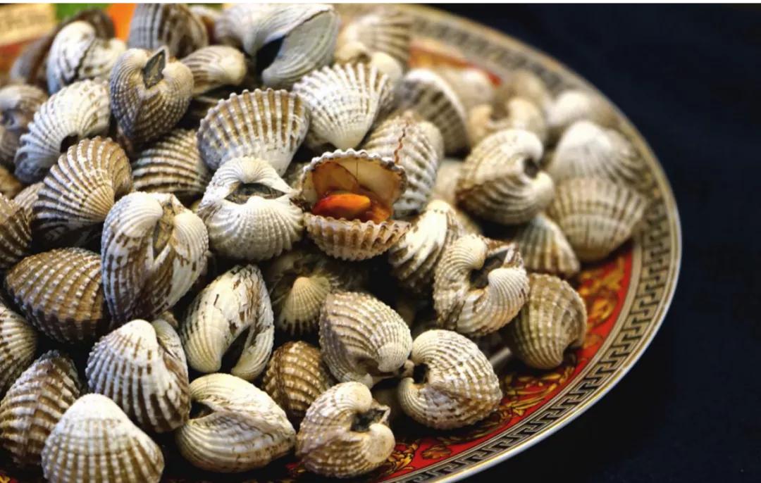 从白灼血蚶到赤贝刺身，是一种不期而遇的相逢