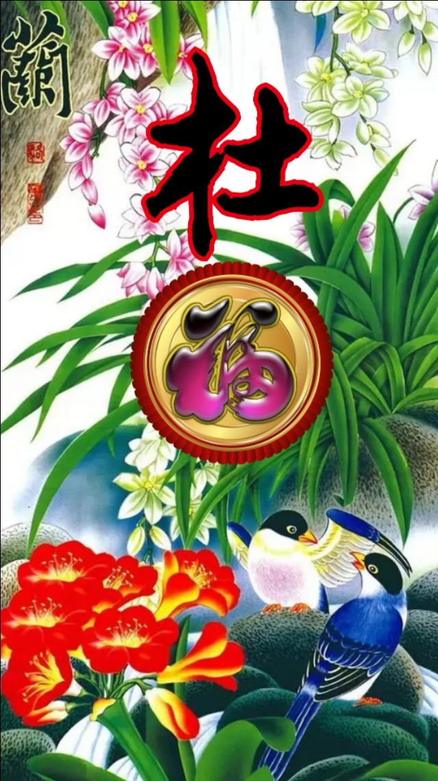 精美兰花壁纸图,兰花高贵壁纸