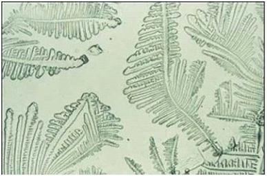 测排卵期的正确方法